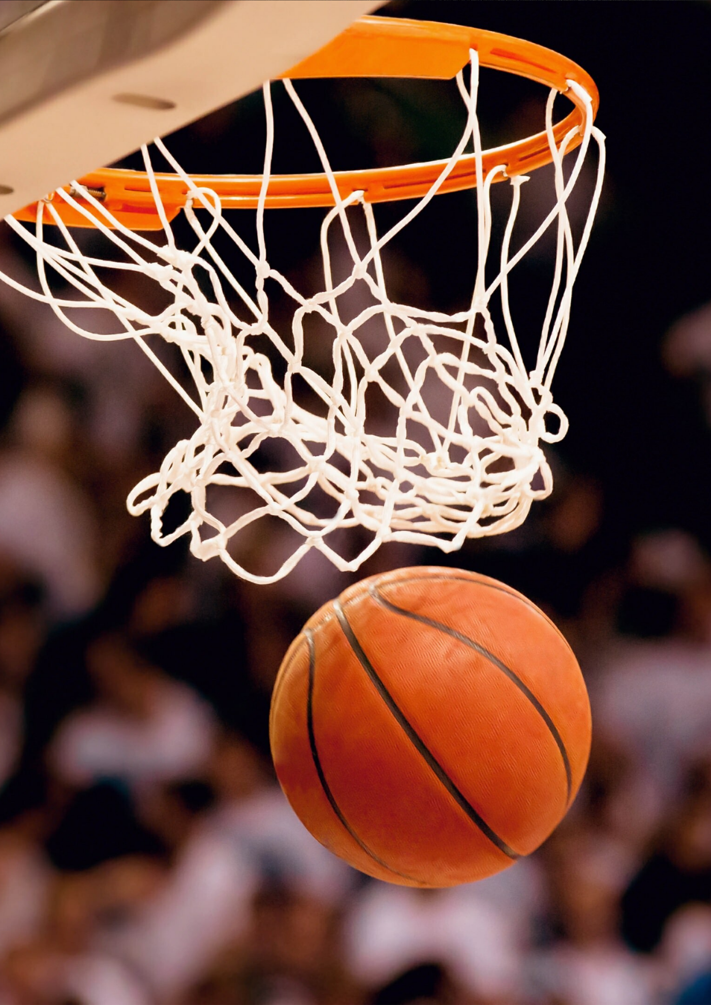 BASKET BALL | POSTER